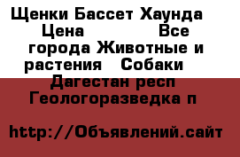 Щенки Бассет Хаунда  › Цена ­ 25 000 - Все города Животные и растения » Собаки   . Дагестан респ.,Геологоразведка п.